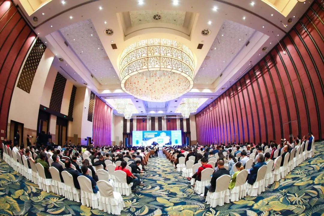 新演艺 新文旅——2019广州国际光影文旅创意发展高峰对话顺利召开！