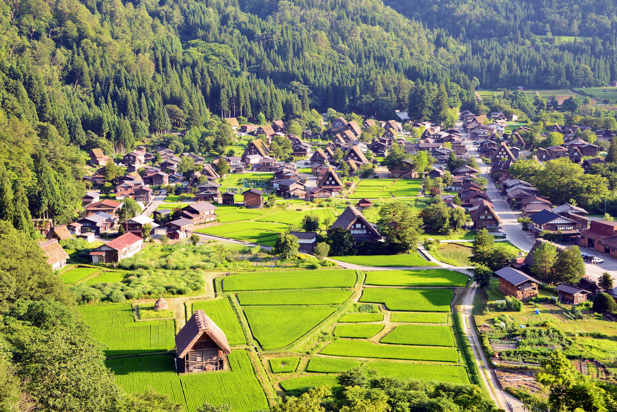 1/ 12 白川乡是日本岐阜必游之地,其美丽的传统村被联合国教科文组织