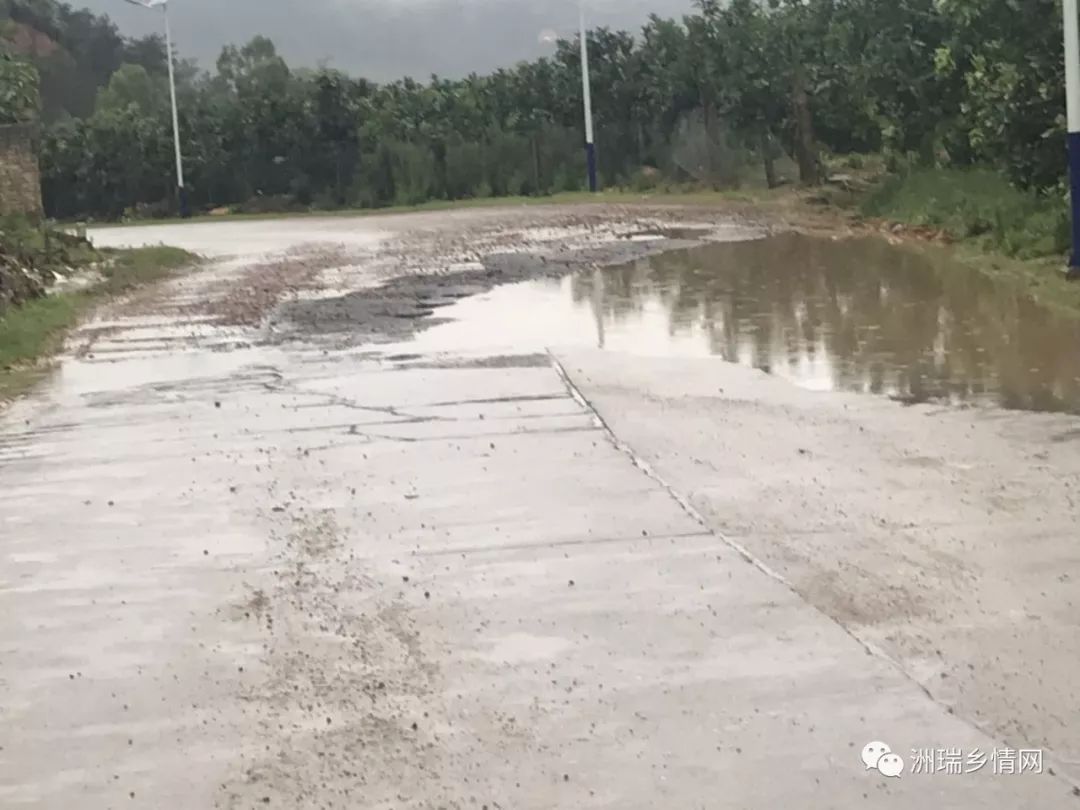 洲瑞镇这条主路路面坑洼有积水有安全隐患