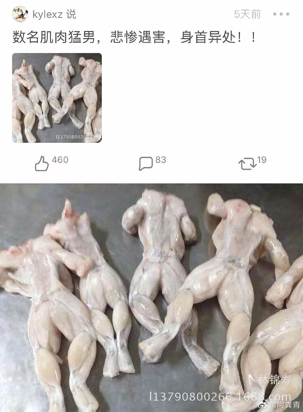 牛蛙肌肉男图片