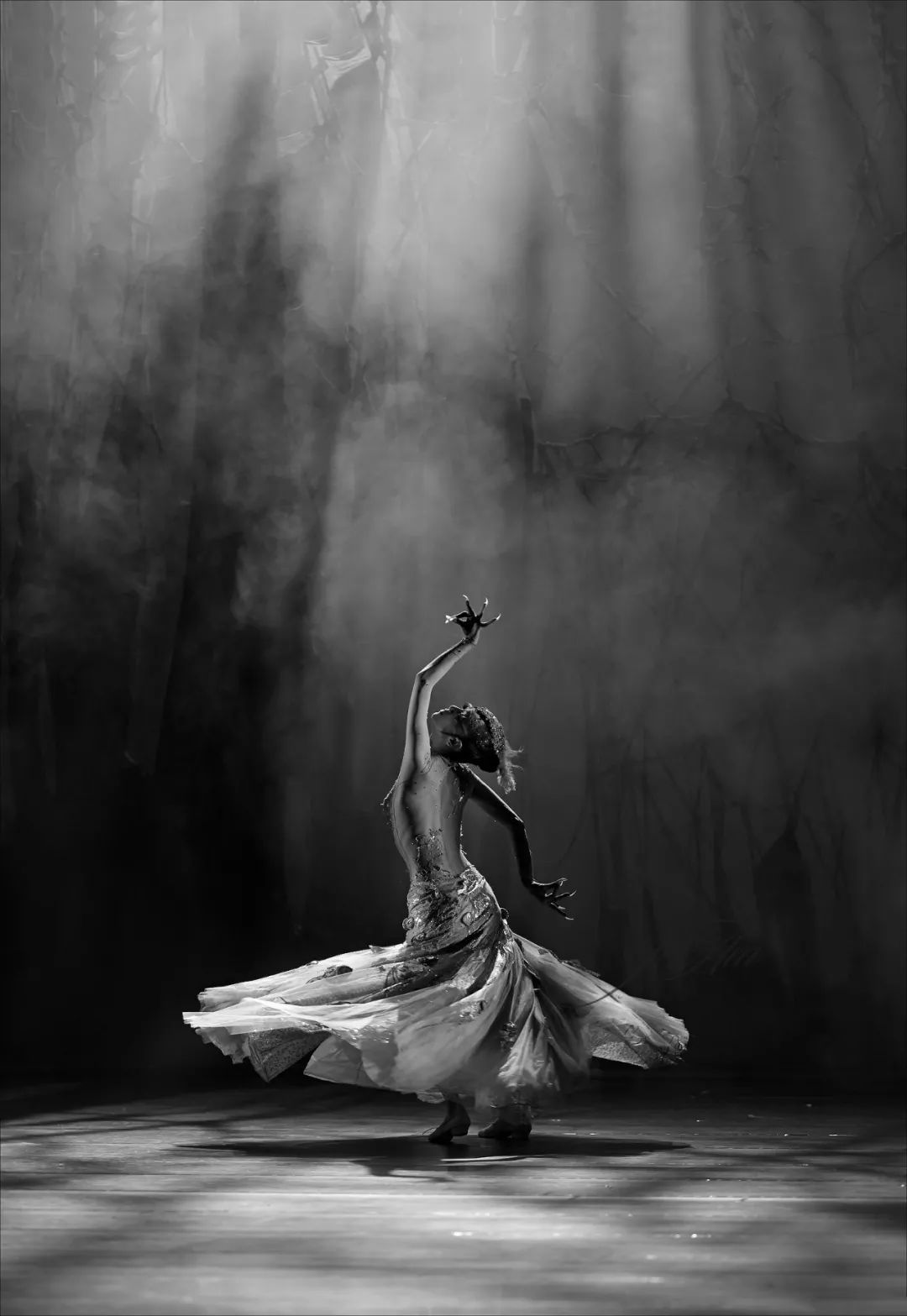 美图欣赏杨丽萍舞剧孔雀丨高清大图来袭珍藏