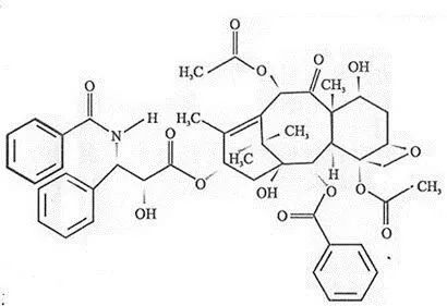 紫杉醇脂质体图片