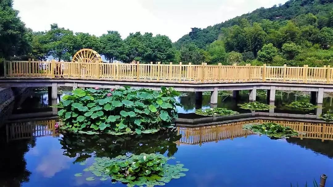 慈溪第一家,龙山镇又获得一块"金招牌"