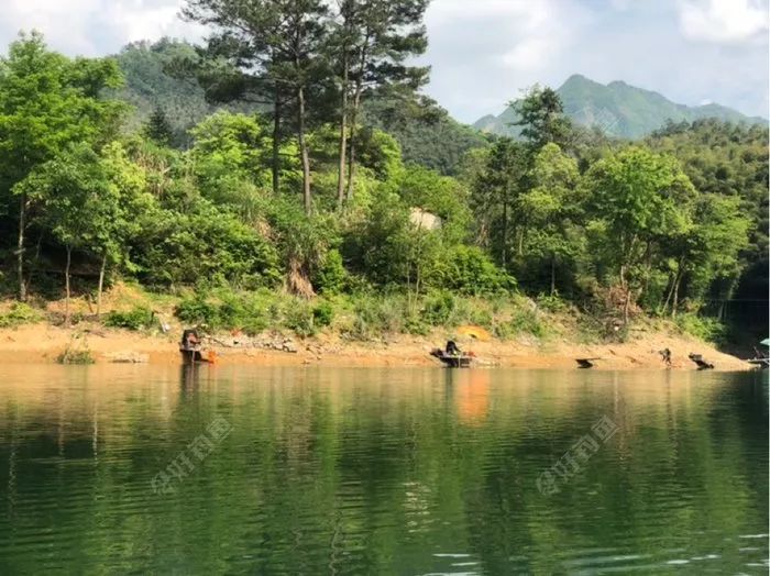 太平湖探钓黄尾简直就是世外桃源