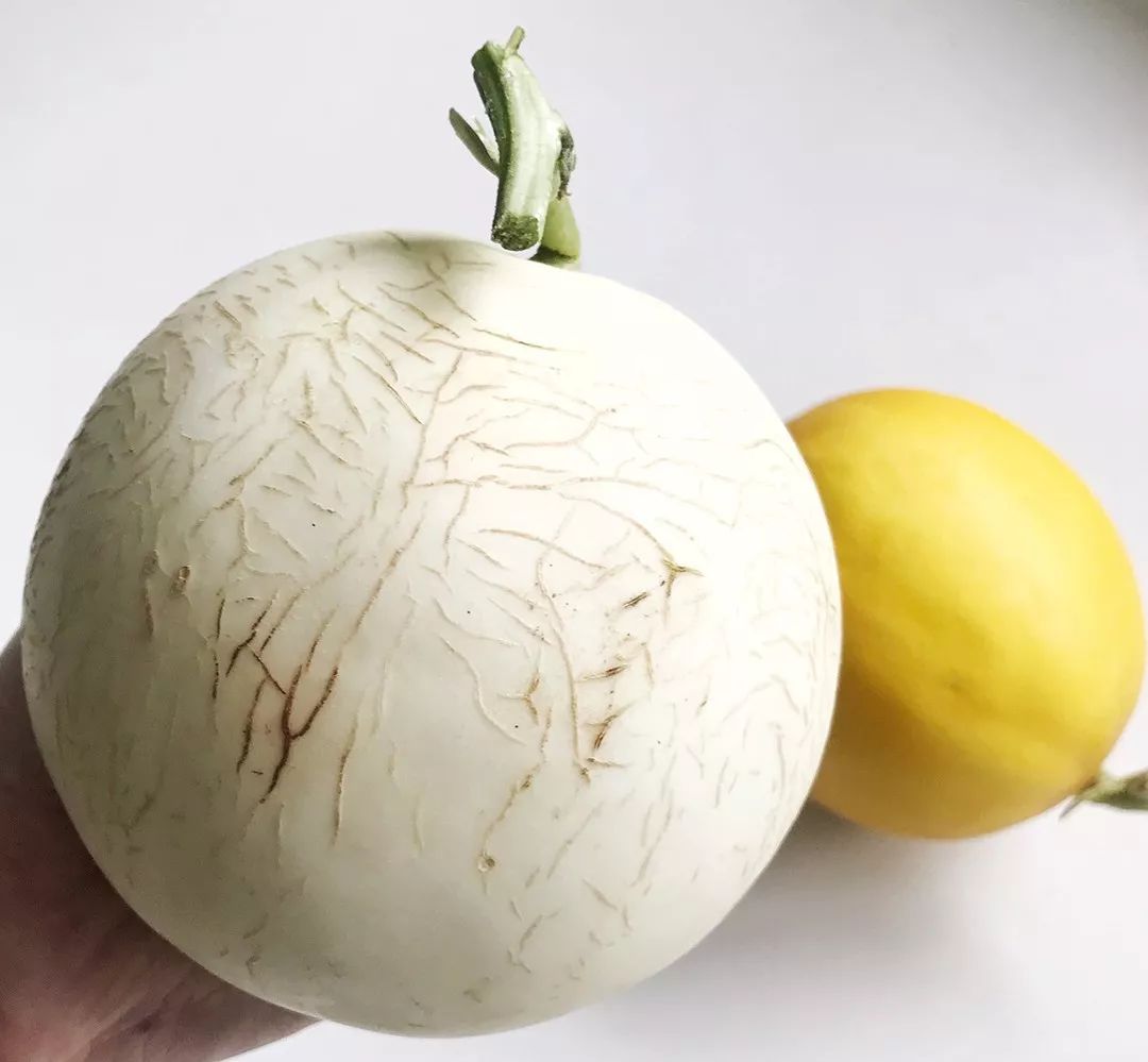 一样跟那些外面妖艳鼻子凑近点就能闻到瓜的清香味儿别看它个头不算大