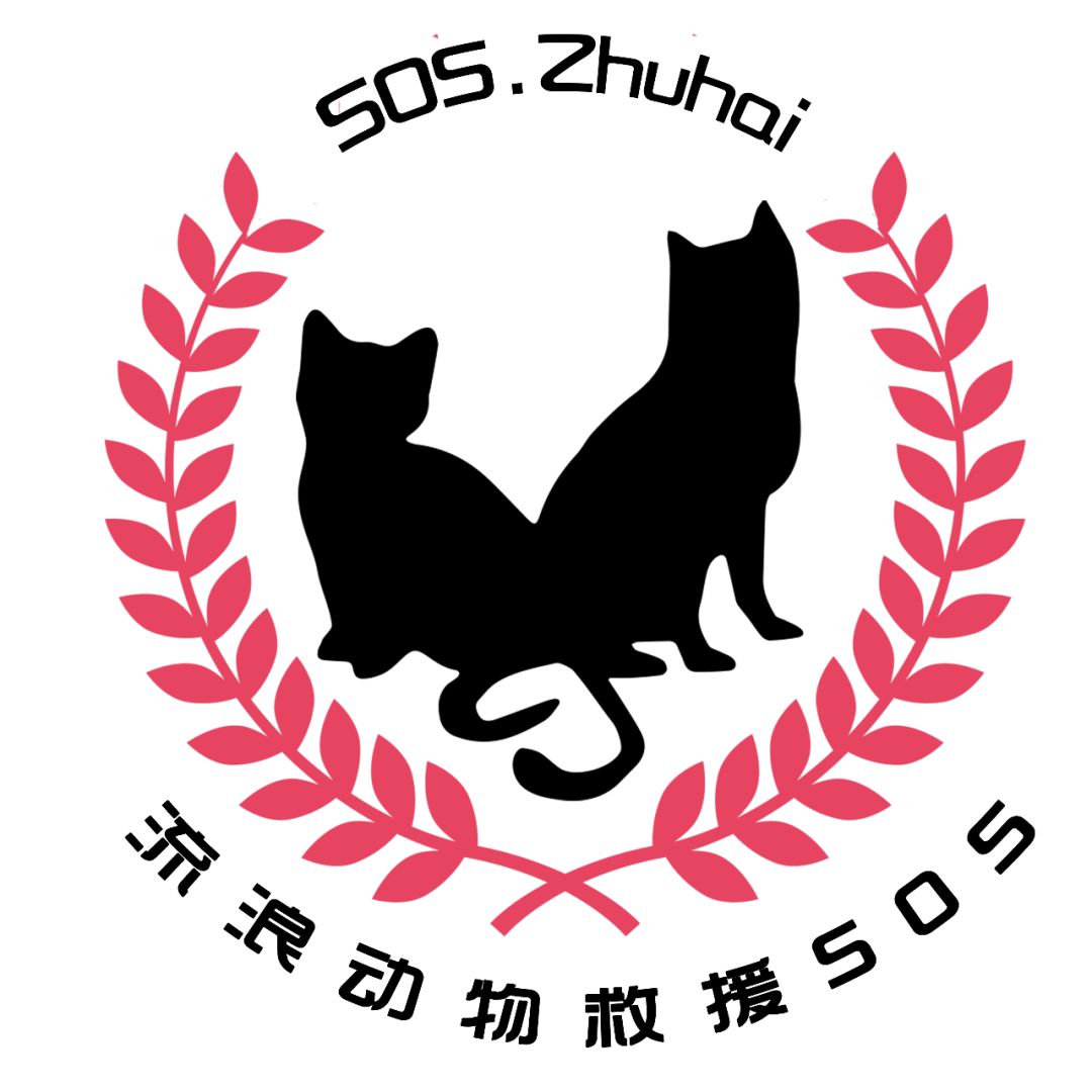 珠海流浪动物领养日有生之年与你相遇