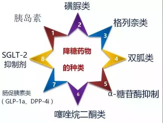 胰岛素是糖尿病的基础用药,适用于1型糖尿病,有急性并发症或严重合并