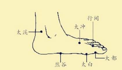 刺激脾經上的幾個穴位調理常見慢性病