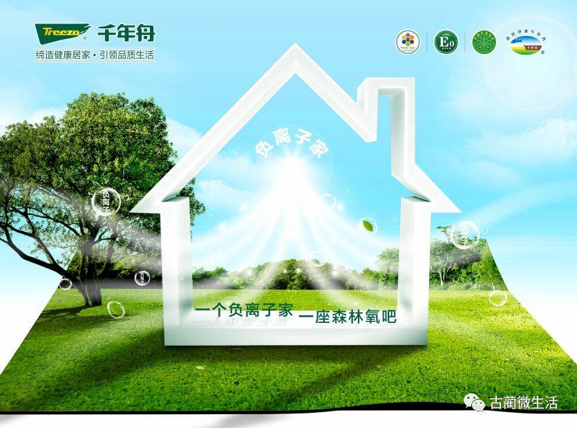 千年舟把绿色搬回家
