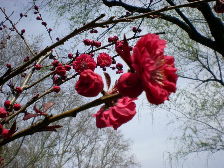 从出生时间看桃花运最旺的四种人!