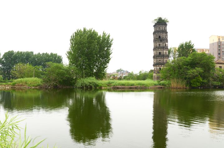 好消息,和县这里计划建设一个湿地公园!你知道在哪儿吗?