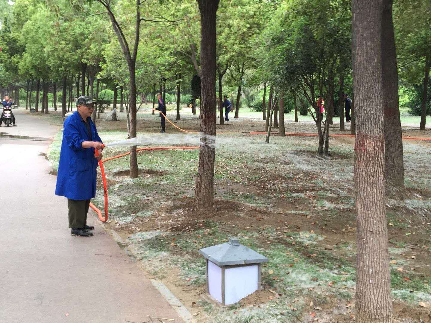 市城市管理局:全力清理杨絮净化园区环境