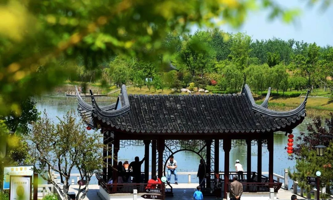 房湾湿地 最美母亲 mothers day  赏花,吹风,深呼吸 来房湾湿地公园