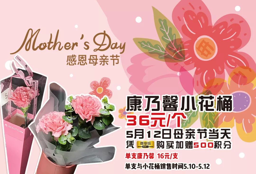 母亲节康乃馨活动#在5.10-5.