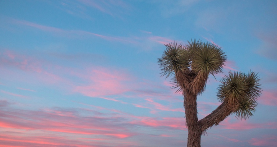 今年家电市场上中小厂商要敢于犯错，别再守株待兔-家电圈官网