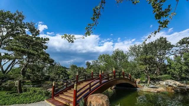 呦呦鹿鳴食野之苹詩經中最美的鹿鳴公園原來在這裡