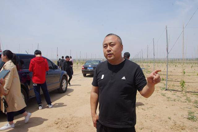 为樱桃提供了得天独厚的生长优势,经过多年的发展,澄城县樱桃种植已