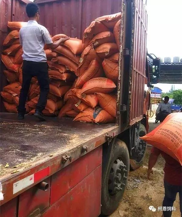 柯恩市场风采是什么让规模猪场签完合同还是选换成了柯恩饲料潮汕开发