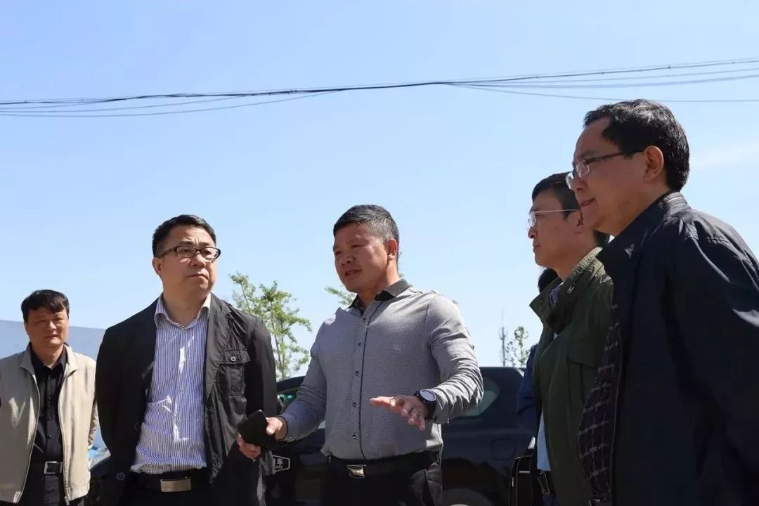 张连春区长实地查看了板桥河入江口段,长江三桥湿地公园段,秦淮新河入