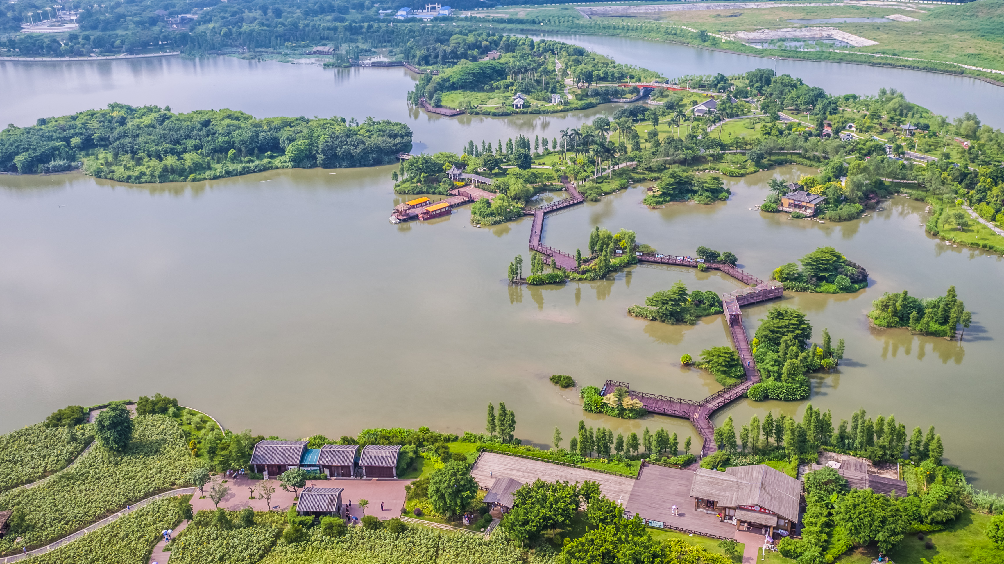 湿地就在城中央——珠三角重塑人与自然和谐共生图景