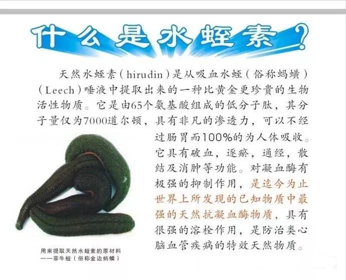 水蛭疗法的前世今生丨欢迎投稿traditional medicine research
