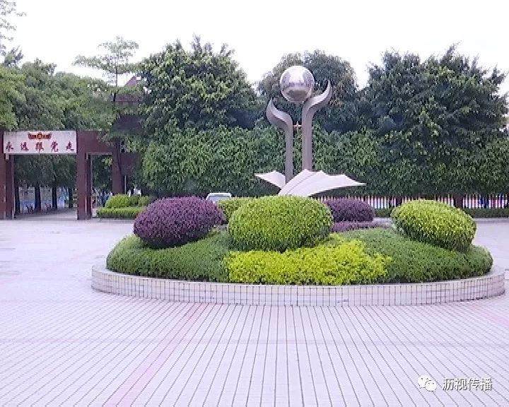 钟敏毓秀崇实风劲好扬帆大沥嘉福学校经典浸润心灵特色彰显校园