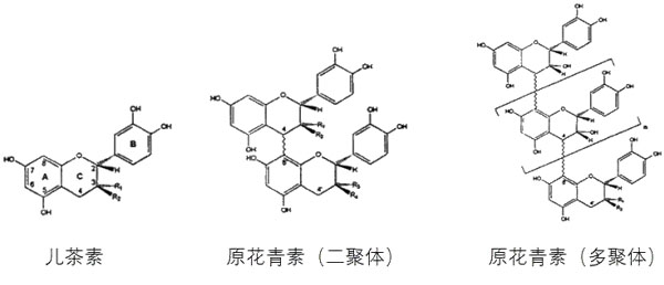 花青素原花青素的区别鉴别功效作用
