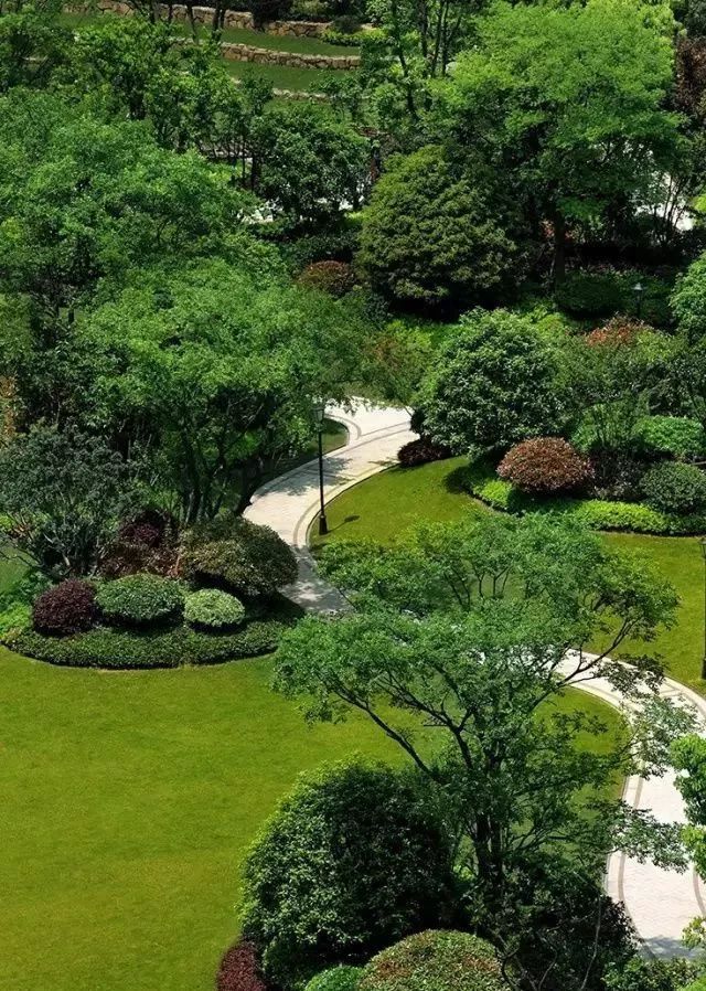 园林景观植物绿化设计方法_配置