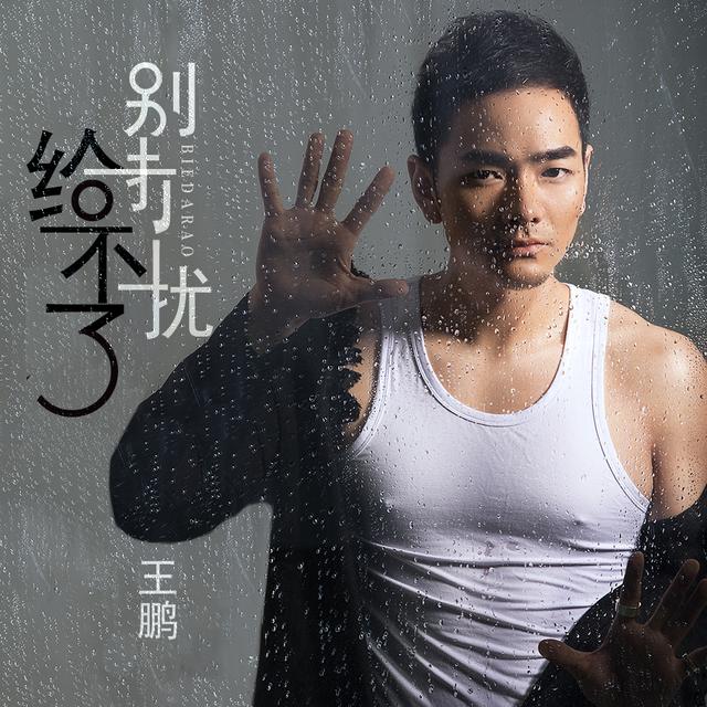 歌手王鹏发布最新单曲《给不了别打扰》
