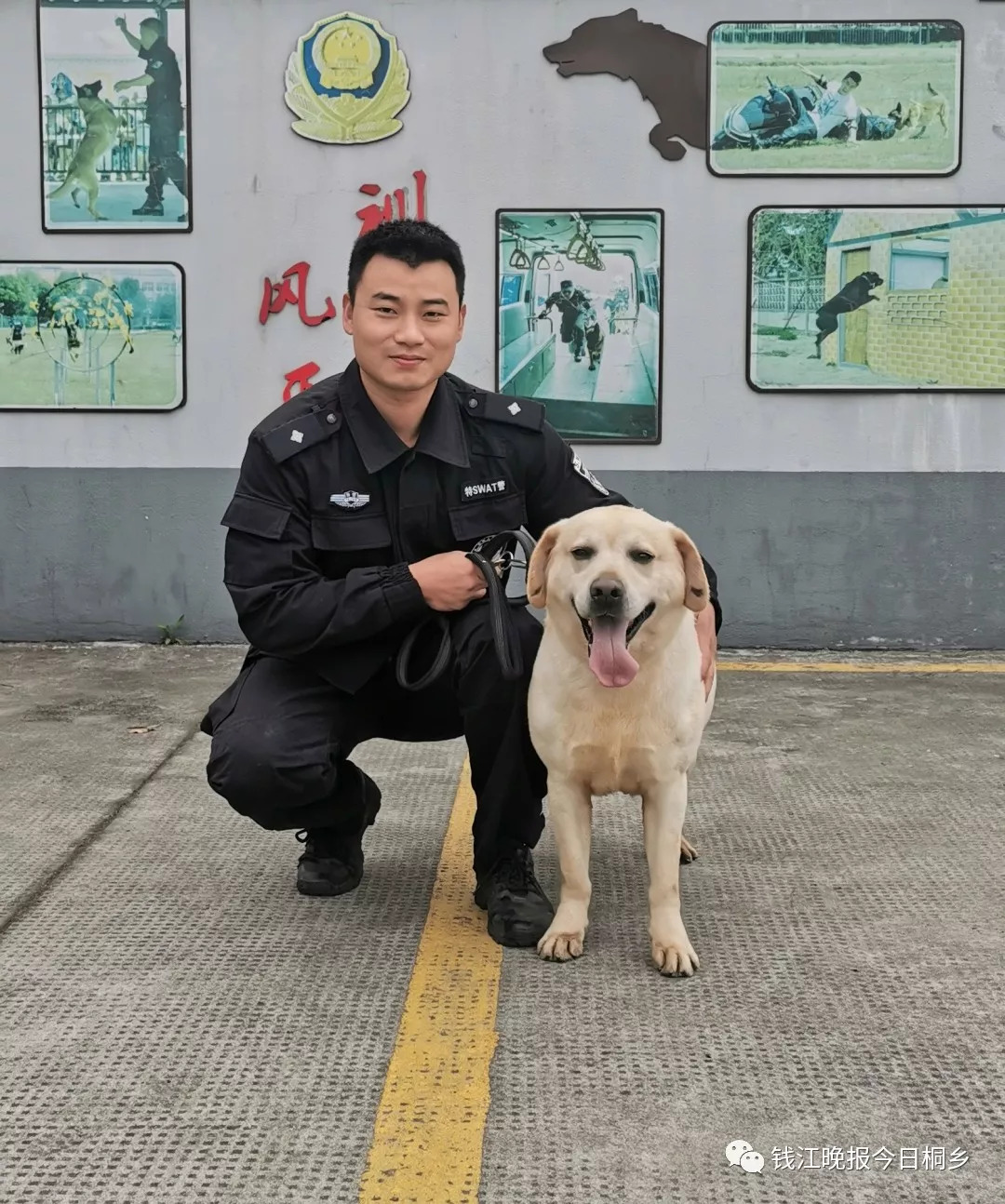 真实的警犬拉拉图片图片