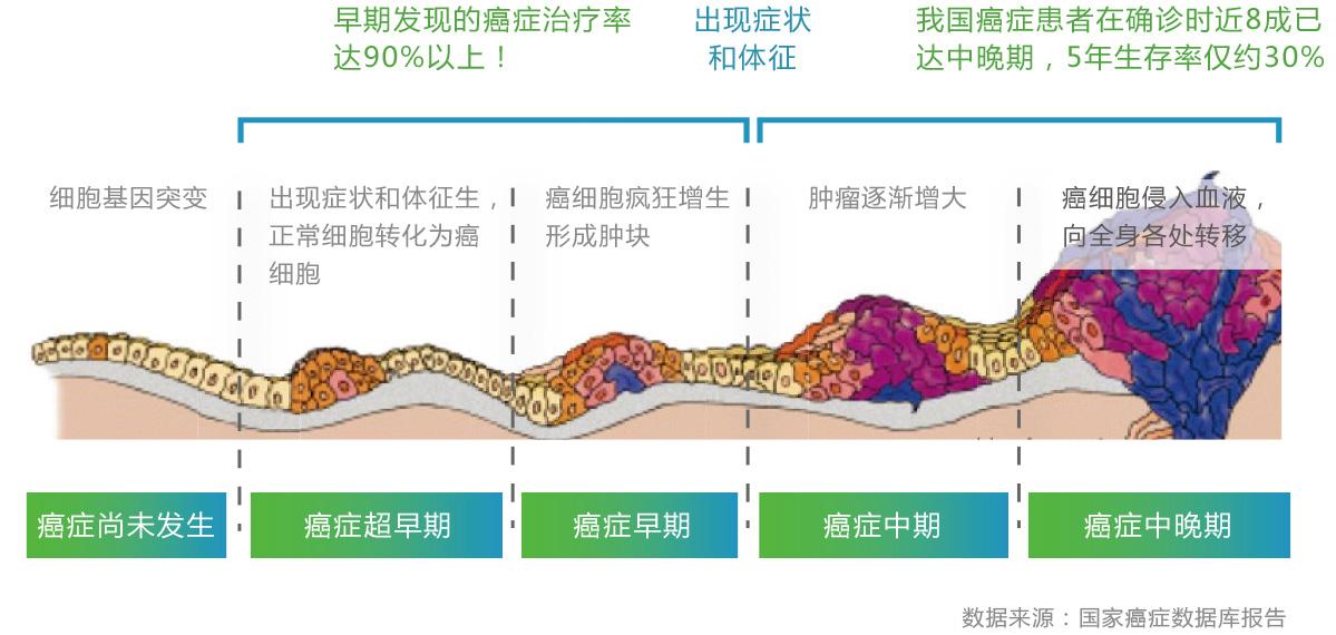 癌症的形成过程图片