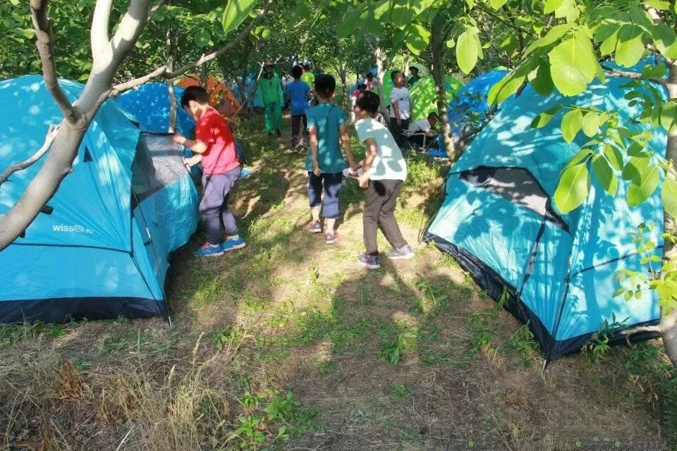 【研学丨露营】相约大山,仰望星空,行走齐鲁户外研学营