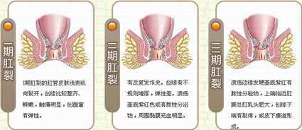 来自搜狐网