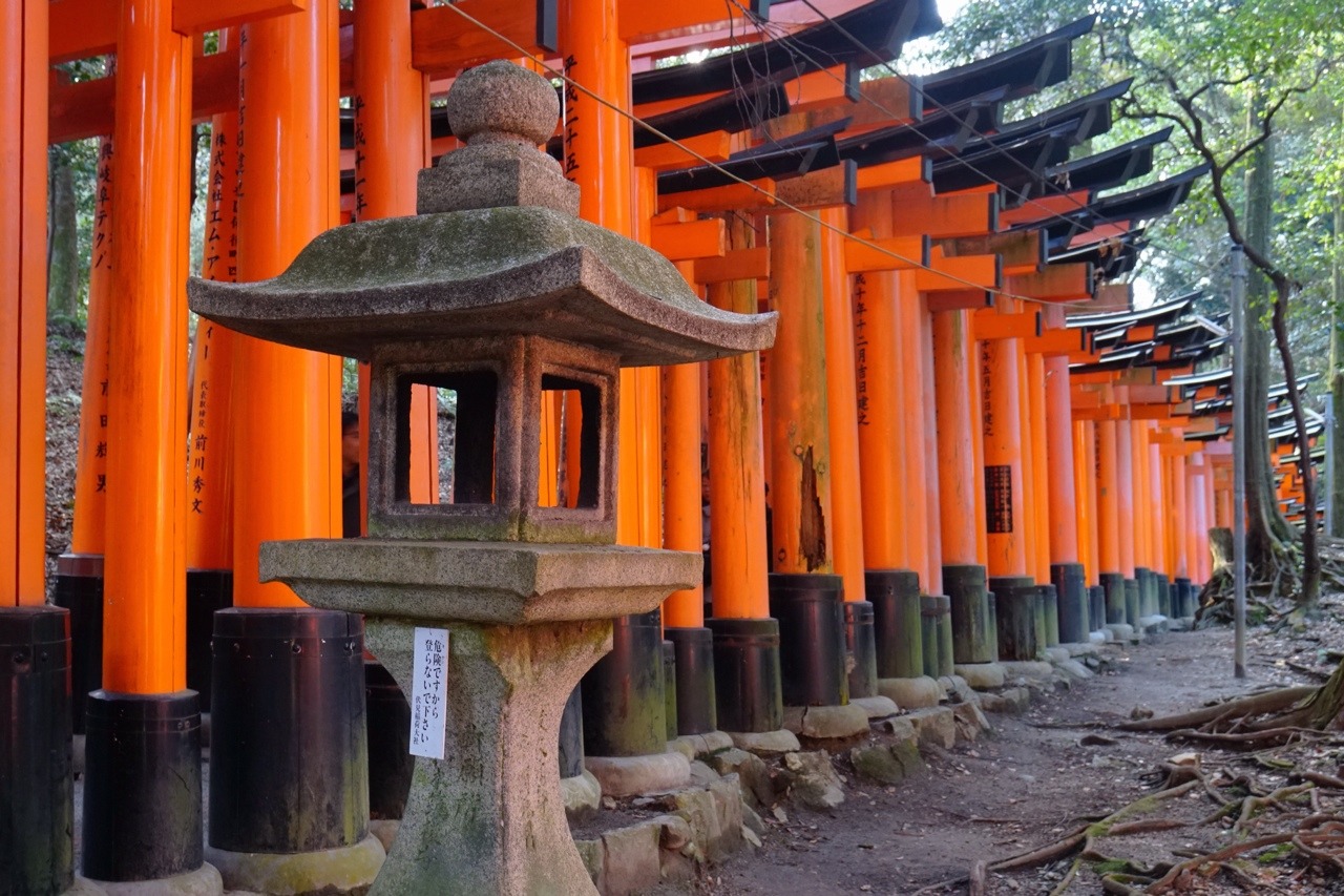 原创日本网红神社最吸引中国游客打卡风景比照片还更美