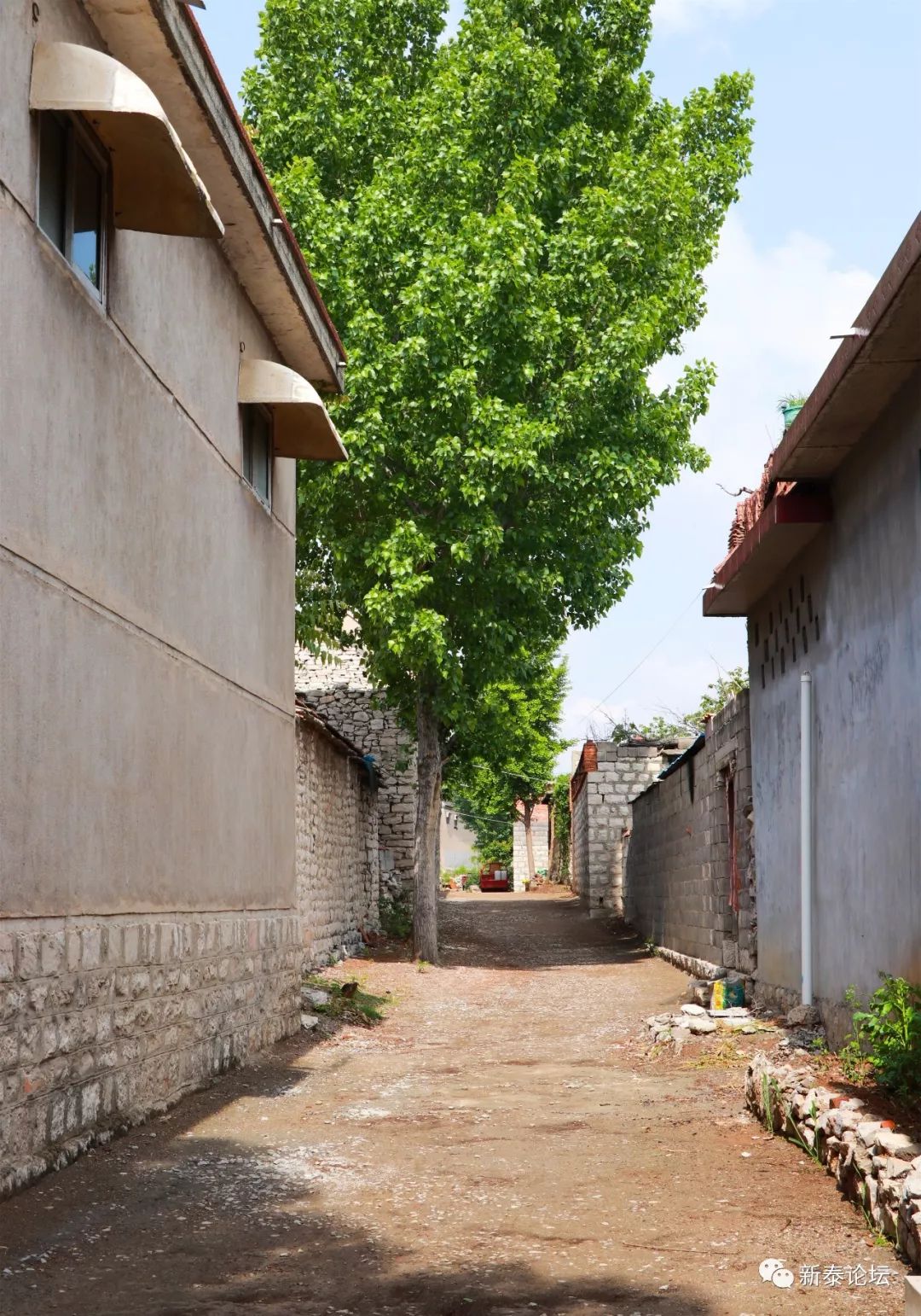 大美新泰—汶南镇鲍音村