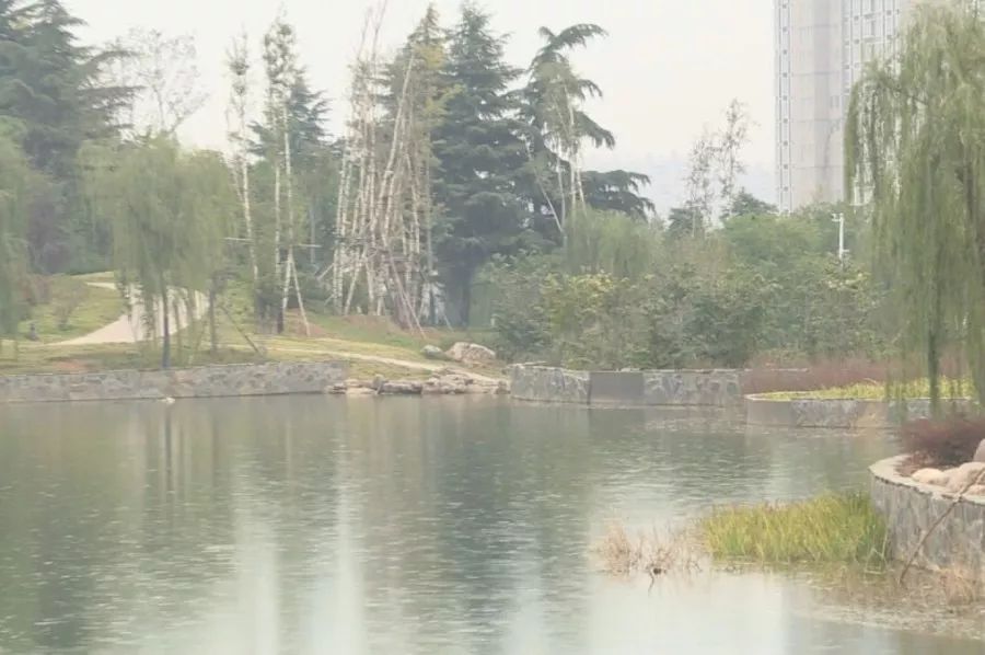 河图公园天然"氧吧"引人入胜_孟津