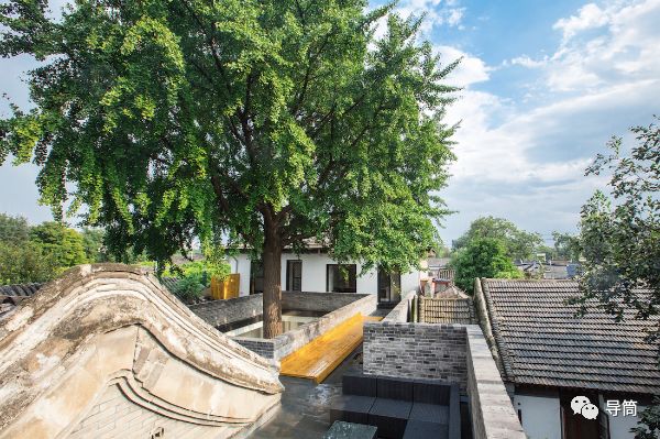 导筒现场杨明明女导演北京上海