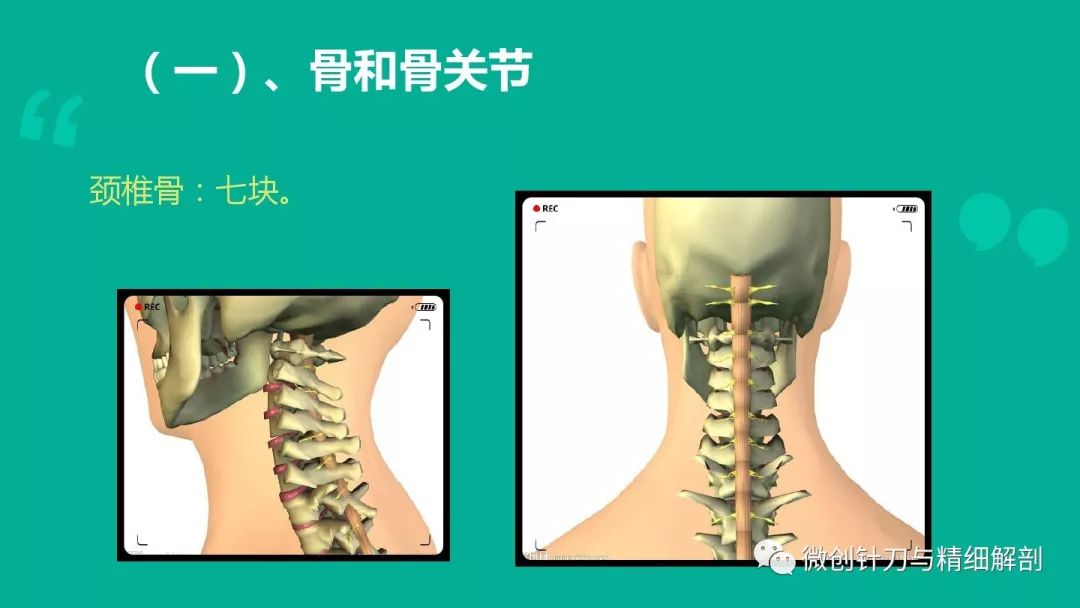 頸椎病的解剖學基礎與診斷