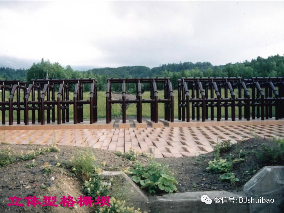 关于格栅坝你了解多少