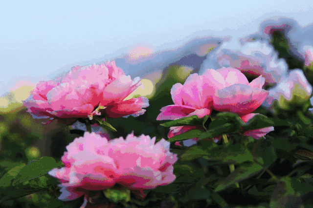 1053福利母亲节重磅福利2万元神秘大奖等你来哦