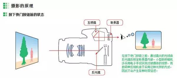 看一遍就会的摄影基础知识(值得学习) 67_对焦