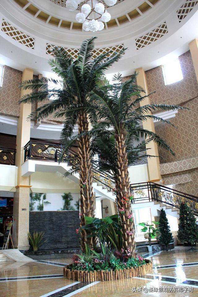 圣缘景观仿真海枣树|巨大叶片的阴影似乎是漂浮在热浪之上