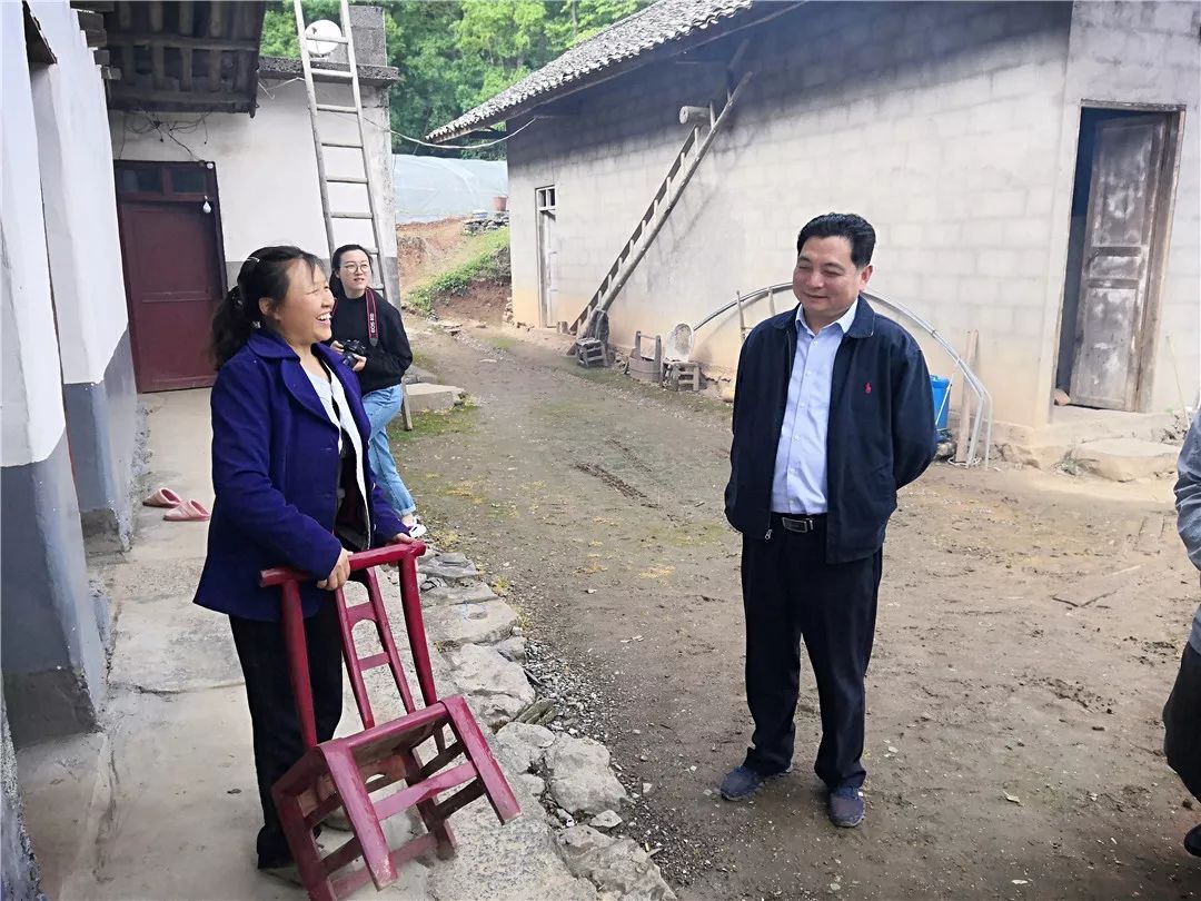 家椪柑专业合作社在渔峡口镇布政村,谭业明沿途查看农村公路建设情况