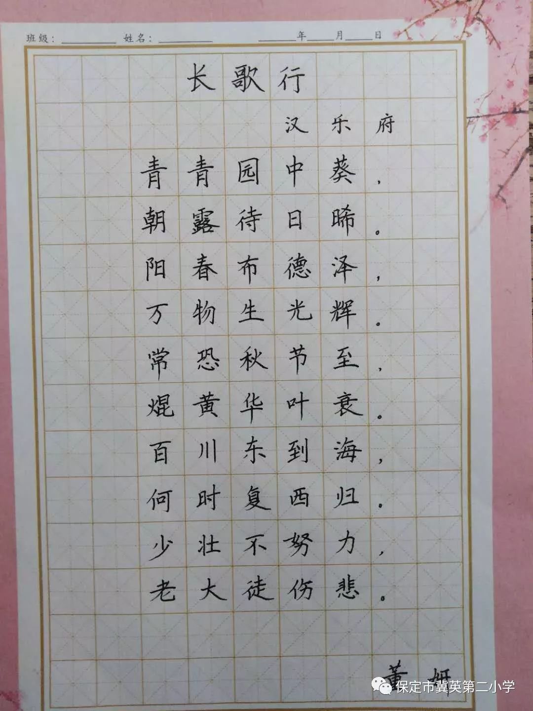 汉字书写大赛格式图片图片
