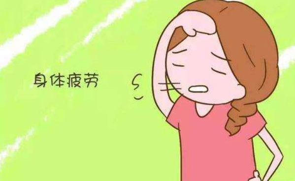 排卵期,精子进入女人体内会有什么反应?