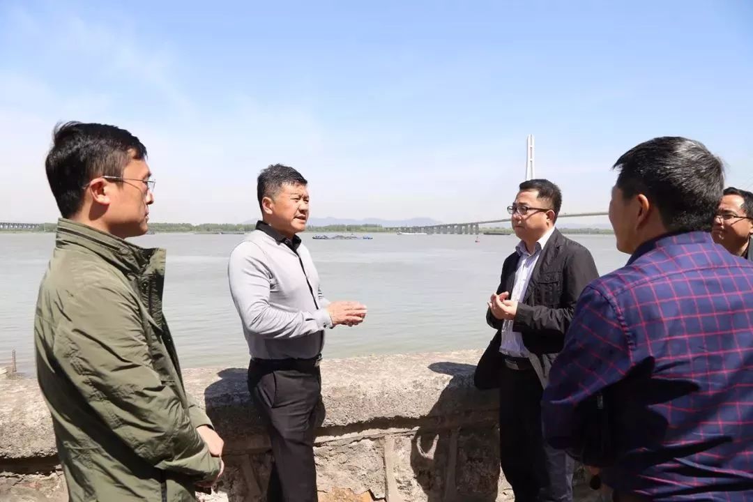 张连春区长实地查看了板桥河入江口段,长江三桥湿地公园段,秦淮新河入