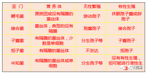 真菌病害详细大全!_植物