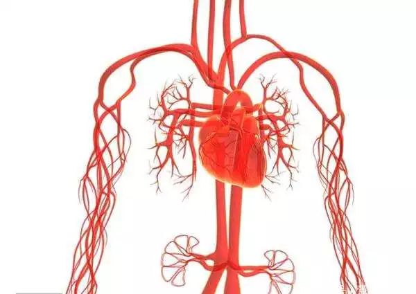 血管不好手脚先知道远离二物常动三处疏通血管更健康