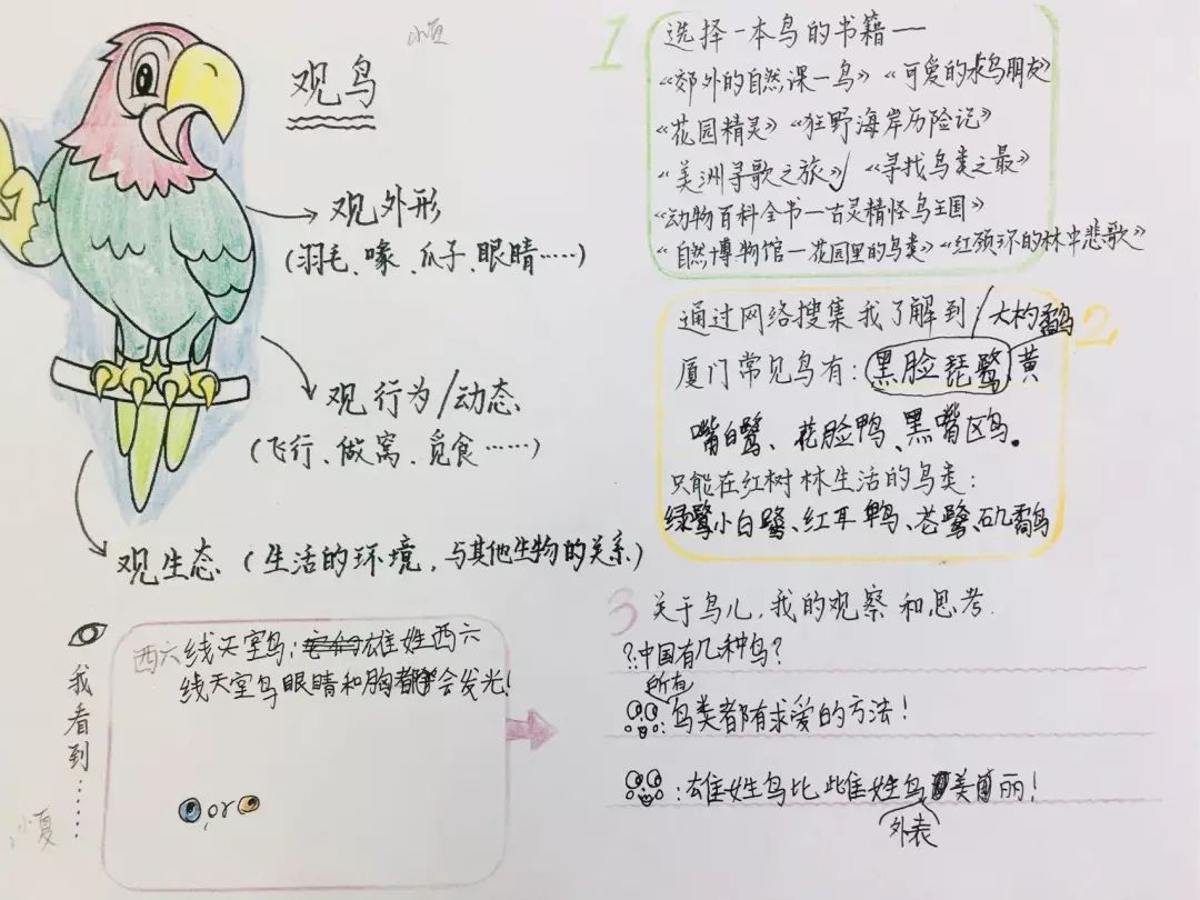 发生了什么首都机场惊现大龄豪华粉丝团
