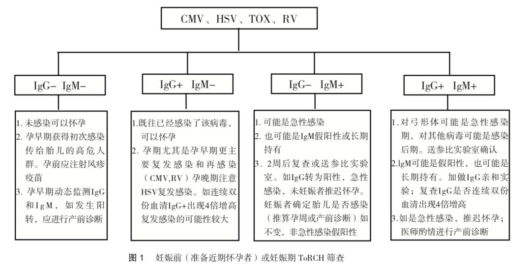 为什么妇产科医生告诉你torch检查最好孕前做